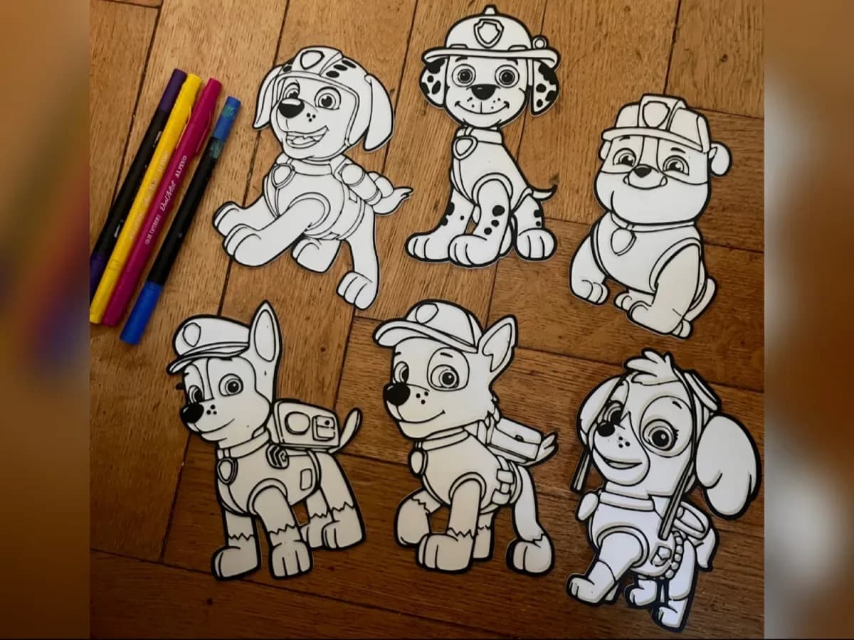 Paw Patrol Colouring Panel — Single Piece